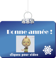 Bonne ann�e 2009